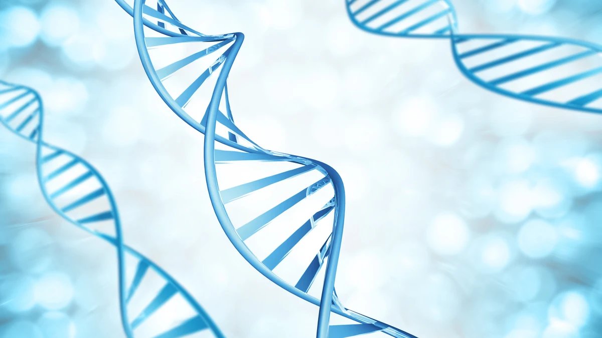 la inteligencia podría tener una parte de genética