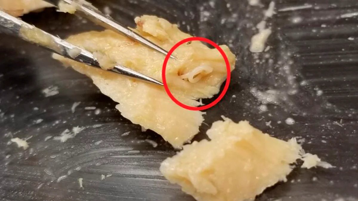 Llevaban décadas caducadas, pero estas latas todavía guardaban un desagradable secreto