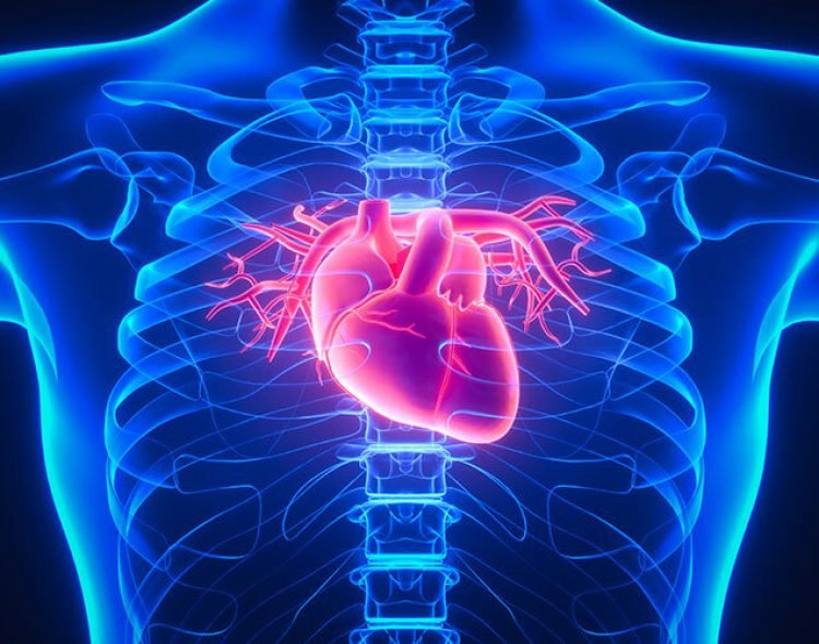 Estas son las principales causas de muerte en 2025, según la Asociación Americana del Corazón